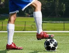 斯图加特逼,平霍芬海姆,德米洛维奇,彩神网,彩票预测,在线投注,彩票分析,快速开奖