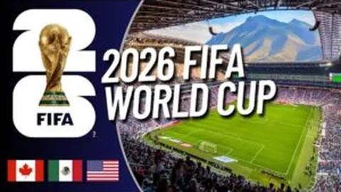 樊振东将不参加澳门世界杯中新体育赛事