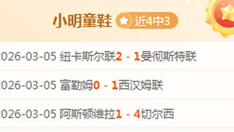 斯图加特逼平霍芬海姆，德米洛维奇助球队追平比分